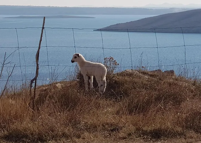 Boutique Revelin 3* 파그